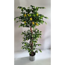 Rüzgar Yapay Çiçekçilik 180 Cm Limon Ağacı Yeşil