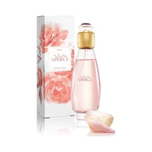 Kadın Parfüm, 50 Ml Amber