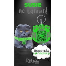 Petjoo 3.Susie Gri-Yeşil Qr'lı Kedi Künyesi