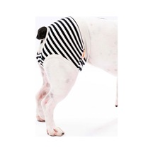 Black Striped Kedi-köpek Çamaşırı Regl Kilodu Kedi-köpek Kıyafeti