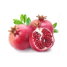 Kırmızı Nar Ağacı Tohumu 5 Tohum + Saksı + Toprak+ Tohum