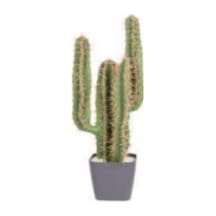 Yapay Kaktüs, Yuvarlak Saksılı - 35 Cm Çok Renkli