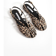 Leopar