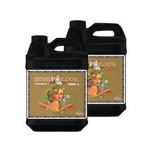 Advanced Nutrients Sensi Coco Bloom Part A-b Ph Perfect 500 Ml Bitki Besini Diğer