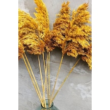 8'li Büyük Demet Pampas Sarı 100cm