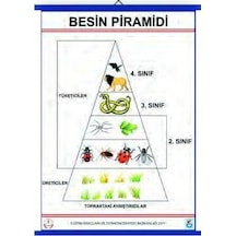 Gürbüz Besin Pramidi