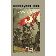 Veysel Çavuş-öykü