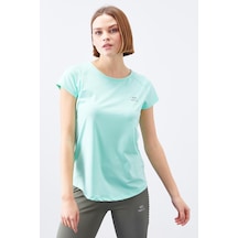Mint Yeşili