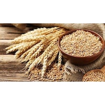 Buğday Yem 5 Kg Doğal Buğday Yemi Tavuk Yemi Kuş Yemi Kanatlı Yem
