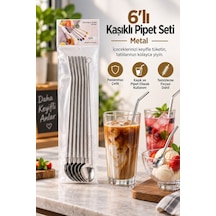 6 Lı Kaşıklı Pipet Seti - Metal - Pipet Temizleme Fırçası Çok Renkli