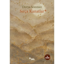 Sırça Kanatlar - Dppq-762949