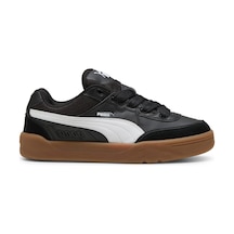 Puma Park Lıfestyle Sk8 Erkek Park Lıfestyle Sk8 40049702 Renkli Renkli