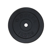 Delta 12,5 Kg X 2 Adet Siyah Döküm Plaka Çiftli Ağırlık Flanş