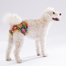 Pawstar Karışık Çiçekli Kedi Köpek Çamaşırı Regl Kilodu 3'lü