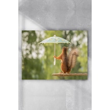 Sincap Eğlenceli Mizahi Poster