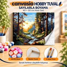Sayılarla Boyama Numaralı Tuval Seti Boya Fırça Dahil 40x50 Cm Işığın İzinde