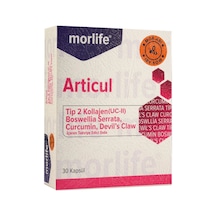 Morlife Articul