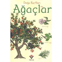 Doğa Kartları - Ağaçlar - Glob-656607