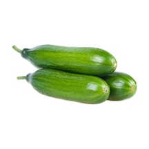 Yerli Salatalık 10 KG