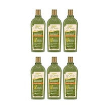 Onarıcı Bakım Şampuanı 6 X 400 Ml Kuru