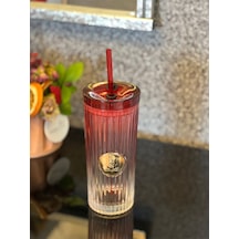 Qerhome Pipetli Cam Bardak Tekli Pinterest Model Kırmız 450 Ml Kırmızı Qerhome Pipetli Cam Bardak Tekli Pinterest Model Kırmız 450 Ml Kırmızı