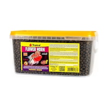 Tropical Flower Horn Adult Çiçek Boynuzlu Ve Diğer Cichlid İçin