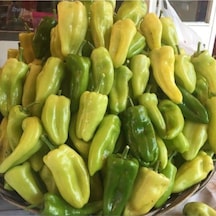 100 Adet Tohum Nadir Kale Acı Biber Tohumu Saksı Toprak Hediyelidir..