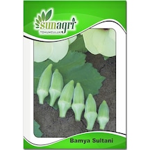 Bamya Tohumu 10 GR