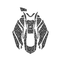 Gri Siyah
