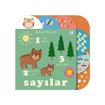 Dokun- Hisset / Sayılar
