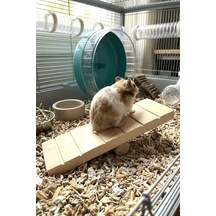 Hamster Oyuncağı Tahtıravalli - Doğal Ahşap - 20x7 Cm