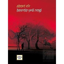 Hasretin Yedi Rengi - Ahmet Efe - Nar Yayınları