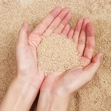 Willowhaven 100g Akvaryum Kumu - Doğal Açık Kahve Yumuşak Dere Kumu Dekorasyon Ve Peyzaj