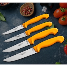 Lazbisa Mutfak Bıçak Seti Et Sebze Meyve Ekmek Bıçak 4 Lü