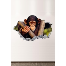 Maymun Full Hd Modern Salon Ve Oturma Odası Duvar Sticker