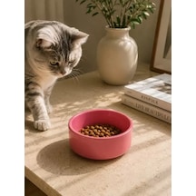 Hubrendy Sh Kase Model Beton Kedi Köpek Mama Ve Su Kabı 15cm Çap 5cm - Pembe