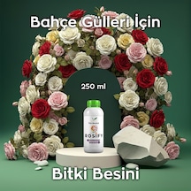 Rosify 250 Ml Özel Gül Bakım Besini - Sarmaşık, Baston, Ve Saksı Gülleri İçin 250 ML