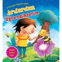Doğadan Öğreniyorum Arılardan Öğrendiklerim - Kolektif