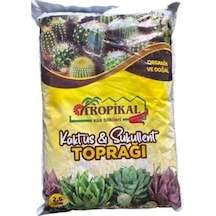 Kaktüs Sukulent Toprağı