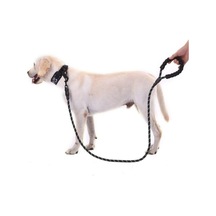 Thentech Halat Orta Ve Büyük Boy Köpekler İçin Kullanılmaktadır Köpekler İçin Gezdirme Tasması 130 Cm