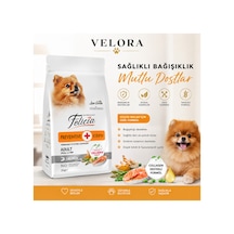 Felicia Preventive Care Somonlu Yetişkin Küçük Irk Köpek Maması 3 Kg - , Düşük Tahıllı - 886836186
