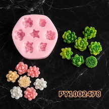 Pk1002478 - Silikon Kalıp Mum Kalıbı 7li Mini Sukulent Kaktüs Renksiz
