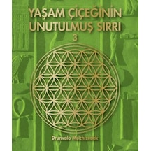 Yaşam Çiçeğinin Unutulmuş Sırrı 3 - Qhdh-898970