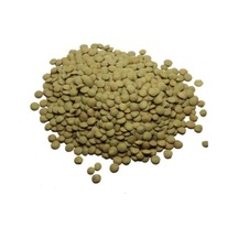 Yeşil Mercimek 5 KG