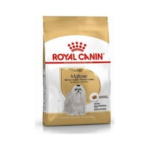 Maltese Terrier Adult Yetişkin Köpek Maması 1,5 Kg