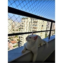 2 Mm Kedi Güvenlik Filesi Balkon Filesi 2x1 Metre