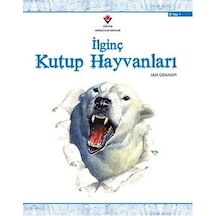 İlginç Kutup Hayvanları - Rjcı-814779