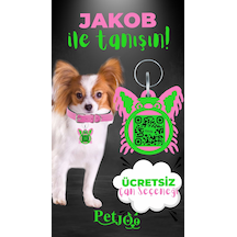 Petjoo 8.Jakob Yeşil-Pembe Qr'lı Köpek Künyesi