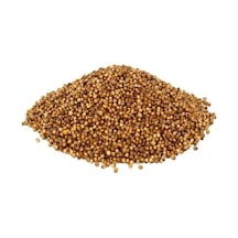 Kinzi Tane Kişniş Dökme 750 Gr