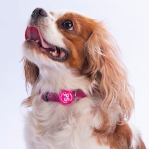 Fuşya Köpek Boyun Tasması Ayarlanabilir Köpek Tasması Pembe